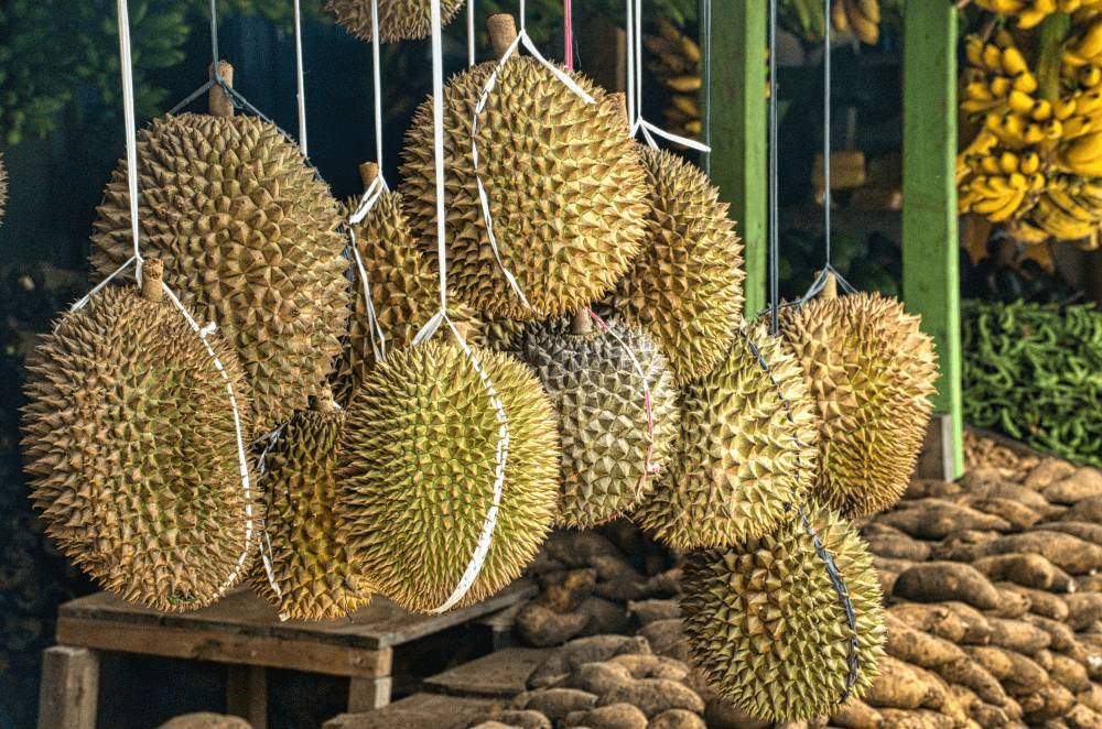 Jangan Tertipu! Ini 5 Tips Beli Durian Isi Sedap
